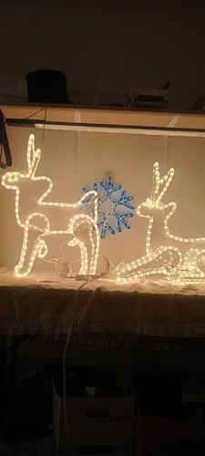 Renne illuminate decorazione