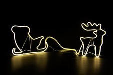 Sagoma Luci Neon Natalizie