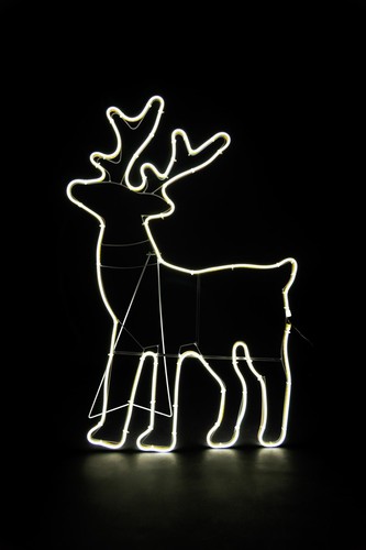 Sagoma corda luminosa neon - corda,