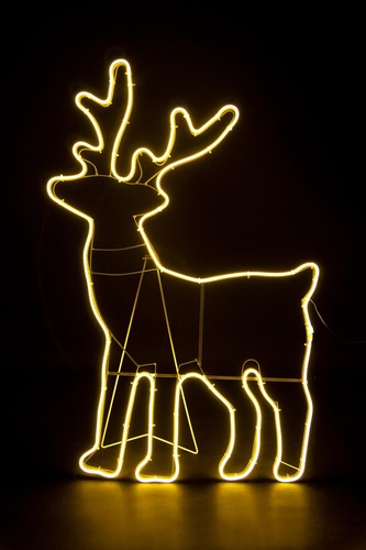 Corda neon luce - corda,